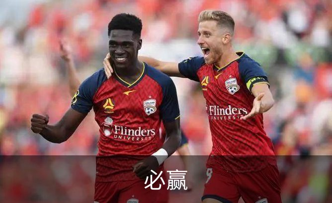关于必赢